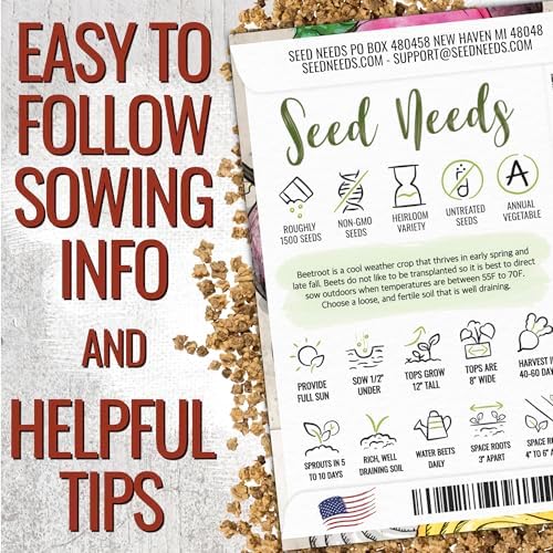 Seed Needs Rainbow Beet Seeds 1,500 Vegetable Seeds Non GMO Bulk Pack - Image 2