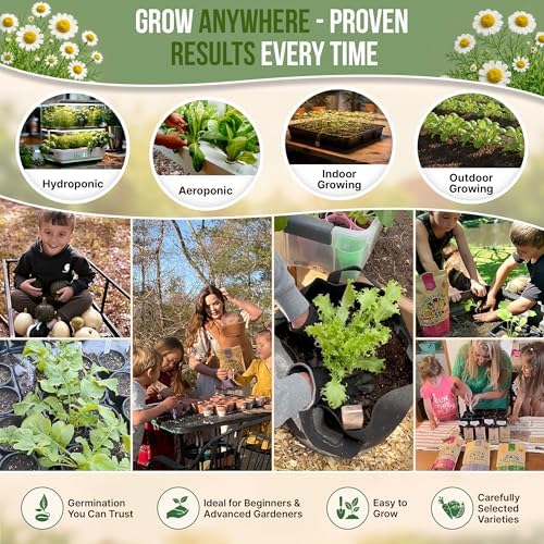 Organo Republic German Chamomile Seeds Pack 0.5 G - Over 5,900 Non-GMO Heirloom Chamomile Seeds for Planting Herbs in Individual Seed Packet, Herbs Seeds for Planting Home Indoor & Outdoor Gardening - Image 5