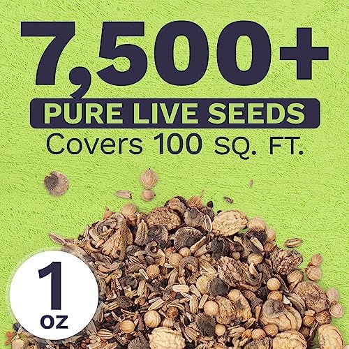 Wildflower Seeds Edible Flowers Mix - 1 Ounce Over 7,000 Open Pollinated Annual and Perennial Seeds - Image 3