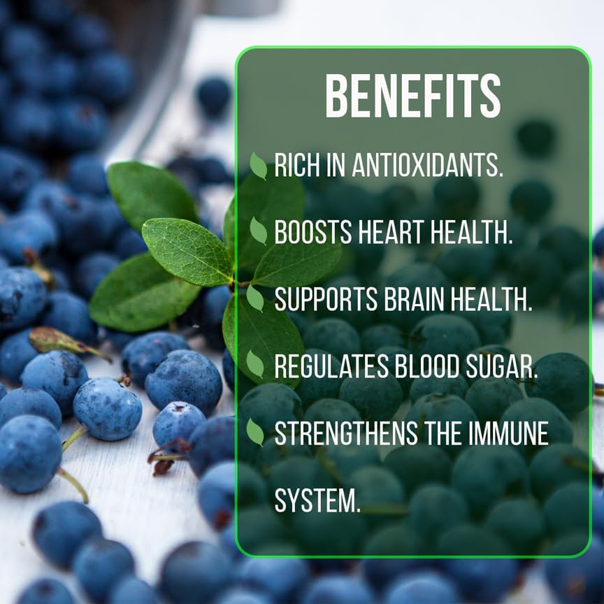 Live Jewel Blueberry Plants (4 Pack) – Southern Highbush Blueberry Bushes for Planting, High Yields, Exceptional Fruit Size, Suitable for Mild Winter Regions - Image 6