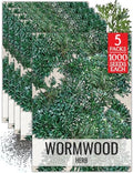 Seed Needs Wormwood Seeds to Plant an Herb Garden - 5 Packs by SeedNeeds