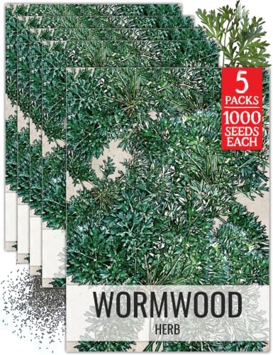 Seed Needs Wormwood Seeds to Plant an Herb Garden - 5 Packs by SeedNeeds