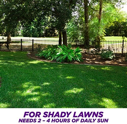 Pennington Smart Seed Dense Shade Grass Seed, 3 lb (100086851) - Image 4