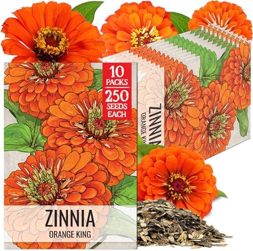 Seed Needs Orange King Zinnia Seeds to Plant Cut Flowers - 10 Packs by SeedNeeds