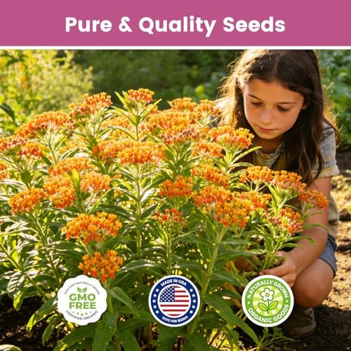 Milkweed Seeds Mix for Monarch Butterflies - Fruivity 5 Varieties Mixed Perennial Wildflower Milkweed Seeds Butterfly, Common, Showy, Pink Swamp & White Swamp - Flower Seeds for Garden - Image 7