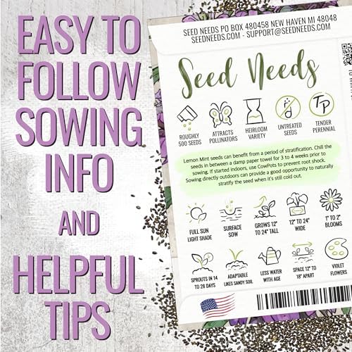 Seed Needs Lemon Mint Seeds to Plant an Herb Garden - 1 Pack - Image 4