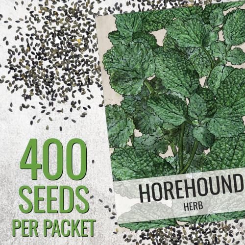 Seed Needs Horehound Seeds to Plant an Herb Garden - 10 Packs - Image 3