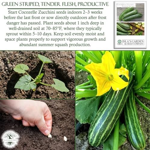 Cocozelle Zucchini Summer Squash Seeds – 50+ Heirloom Non-GMO Seeds by Isla’s Garden Seeds, High-Yield Variety, Perfect for Home Gardens, Easy to Grow, Delicious & Tender Harvest,Great Gardening Gift - Image 5
