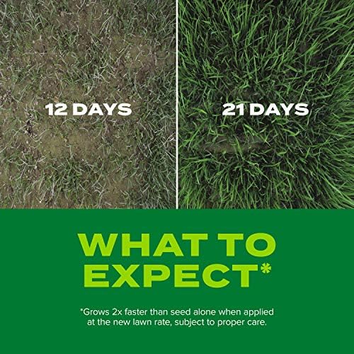 Scotts Turf Builder Rapid Grass Sun & Shade Mix, 16 lbs. - Image 5