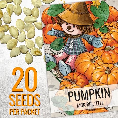 Seed Needs Pumpkin Seeds Variety Pack of 2 Non-GMO & Heirloom Mini Fruits - Image 2