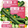 100 Muncher Cucumber Heirloom Vegetable Seeds for Planting, Cucumis Sativus by KVITER