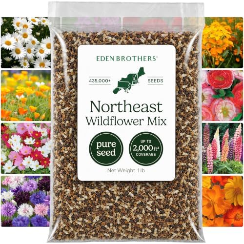 Eden Brothers Northeast Wildflower Mixed Seeds for Planting, 1 lb, 480,000+ Seeds with Cosmos, Candytuft, Shasta Daisy | Attracts Pollinators, Plant in Spring or Fall, Zones 3, 4, 5, 6, 7, 8, 9, 10 by EdenBrothers