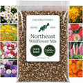Eden Brothers Northeast Wildflower Mixed Seeds for Planting, 1 lb, 480,000+ Seeds with Cosmos, Candytuft, Shasta Daisy | Attracts Pollinators, Plant in Spring or Fall, Zones 3, 4, 5, 6, 7, 8, 9, 10 by EdenBrothers