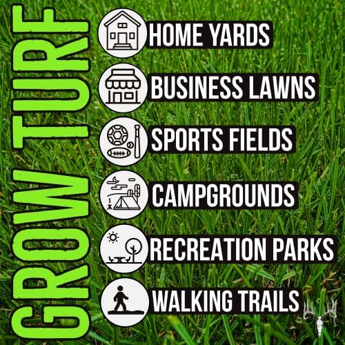 Blue Eagle Kentucky Bluegrass Seed, 25LB Bulk Bag, Uncoated & No Fill, Grow Beautiful & Best Yards, Thicken Lawns & Turf Fields, Growing Dark Green Organic Grass Carpet, Cold Tolerant - Image 5