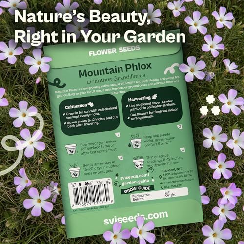 SVI 1500 Mountain Phlox Seeds (Linanthus grandiflorus) – Ground Cover Phlox Seed Packets Bulk, Sweet Fragrance Flower Garden – Heirloom Annual Purple Flower Seeds for Outdoor Garden, Containers - Image 2