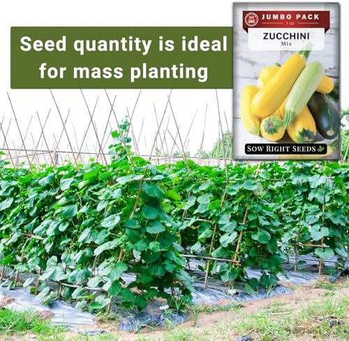 Sow Right Seeds - 225 Mixed Zucchini Seed for Planting Bulk Jumbo Pack - Image 4