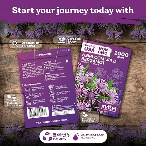 1,000 Wild Bergamot Heirloom Flower Seeds for Planting, Monarda Fistulosa - Image 2