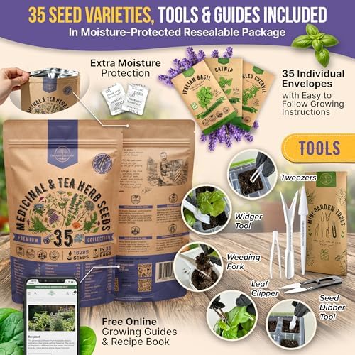 35 Medicinal & Tea Herb Seeds Variety Pack for Indoor & Outdoors. 16,335+ Non-GMO Heirloom Garden Seeds: Anise, Bergamot, Borage, Cilantro, Chamomile, Dandelion, Rosemary Seeds & More - Image 3