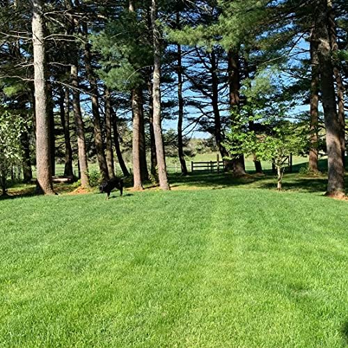 Purely Organic Products Lawn Food 10-0-2, 15 LB (Covers 3,000 Square Feet) - Image 6