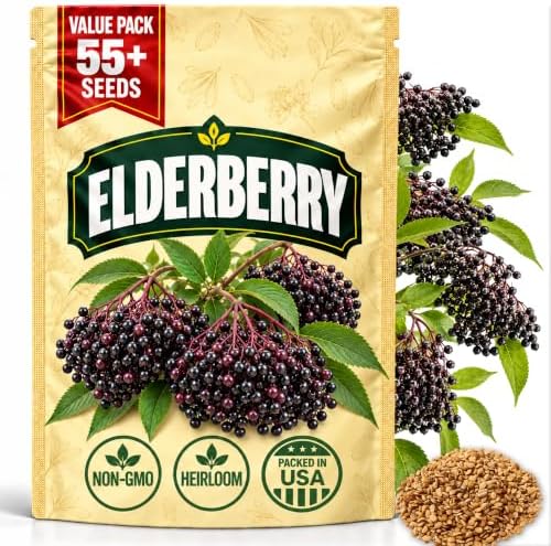 Premium Elderberry Seeds for Planting – 55+ Heirloom Grow an Elderberry Bush (Sambucus) from Seed – Hardy Fruit Shrub Seeds for Home Garden by WilyFox