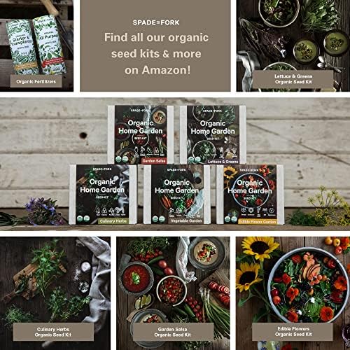 Organic Indoor Vegetable Garden Starter Kit - Made in USA - Certified USDA Organic - 5 Seed Types Cherry Tomato, Lettuce, Carrot, Radish, Green Bean | Indoor Plant Seeds, Indoor Garden Kit, Plant Kit - Image 6
