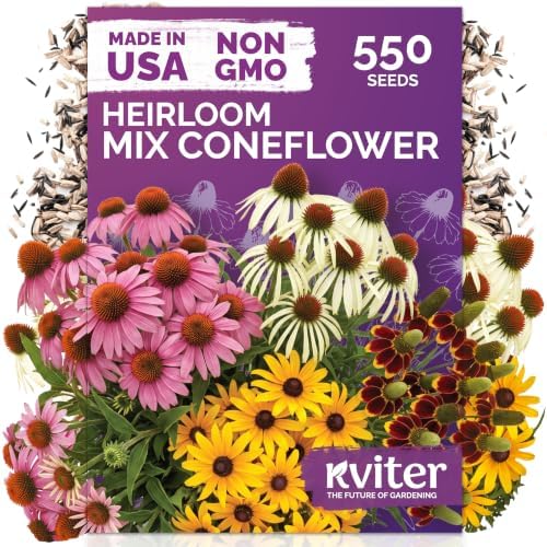 550 Mixed Coneflower Seeds for Planting, Heirloom Flower Seeds by KVITER