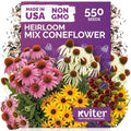 550 Mixed Coneflower Seeds for Planting, Heirloom Flower Seeds by KVITER