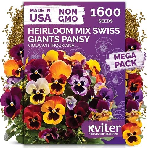 1,600 Swiss Giants Pansy Heirloom Flower Seeds, Viola Wittrockiana by KVITER