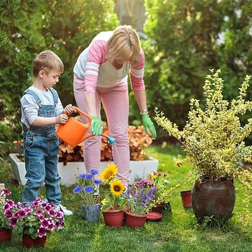 Meekear 5 Kit - Growing into Shasta Daisy, Cornflower, Sunflower, Zinnia, Lavender for Indoor Outdoor Garden DIY Gifts - Image 6