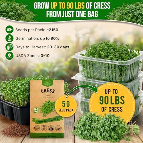Curled Cress Seeds Pack 5G - Over 2,150 Non-GMO Heirloom Cress Seeds for Planting Greens in Individual Seed Packet, Greens Seeds for Planting Home Garden Indoor & Outdoor Gardening - Image 4