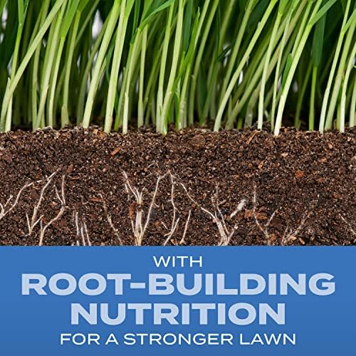 Scotts Turf Builder Grass Seed Sun and Shade Mix - Grass Seed Plus Lawn Fertilizer and Soil Improver, Covers Up to 2,240 sq. ft., 5.6 lb. (Pack of 4) - Image 3