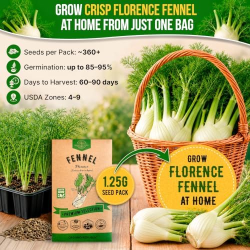 Fennel Florence Seeds Pack 1.25 G - Over 360 Non-GMO Heirloom Fennel Seeds for Planting Herbs in Individual Seed Packet - Image 4