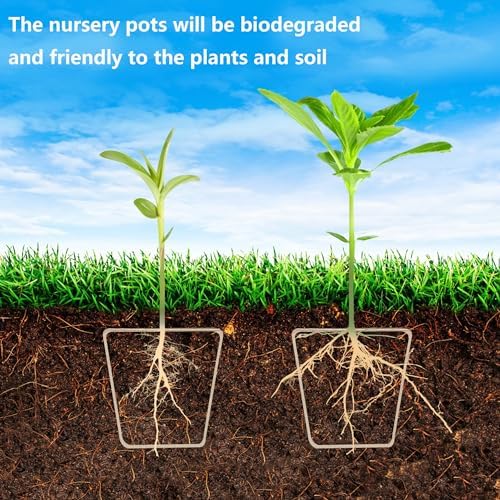 Purple Star 40 Pcs Starter Pots for Planting Seeding- 3.1 Inch Square Planter Nursery Pot with Humidity Dome- Biodegradable Peat Pots for Seedlings Garden Vegetable Flower Germination - Image 5
