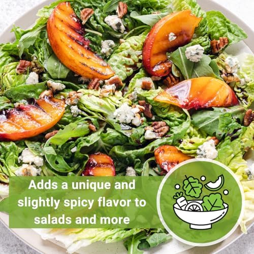 Sow Right Seeds - Arugula Seed for Planting Outdoors or Indoors Garden - Image 6
