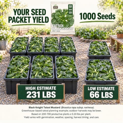 1000 Black Knight Tatsoi Mustard Seeds for Planting – Heirloom, Non-GMO, USA Grown Asian Greens with Premium Waterproof Packaging Brassica rapa subsp. narinosa by RDR Seeds - Image 2