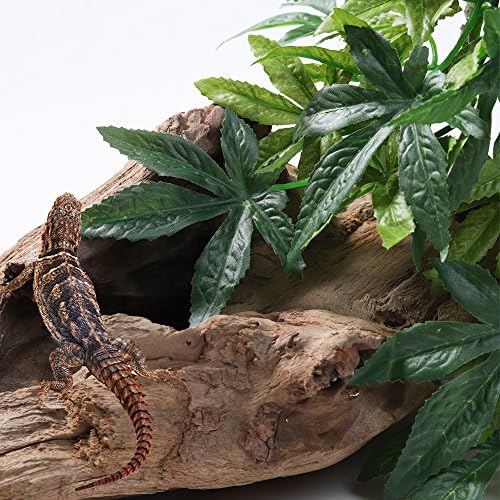 SLSON Reptile Plants Hanging Silk Terrarium Plants with Suction Cup for Bearded Dragons,Lizards,Geckos,Snake Pets and Hermit Crab Tank Habitat Decorations,Small Size,12 inches - Image 7