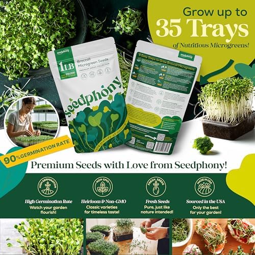 Broccoli Sprouting & Microgreens Seeds - 130,000 Non-GMO Heirloom Seed, 1lb Resealable Bag - High-Germination Broccoli Seeds for Sprouting in Jars, Soil, Hydroponics & Microgreen Trays - Image 2