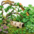 LIKZINWA Reptile Terrarium Decor Kit with Jungle Plants & Vines by LIKZINWA