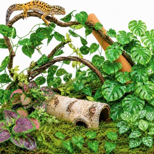 LIKZINWA Reptile Terrarium Decor Kit with Jungle Plants & Vines by LIKZINWA