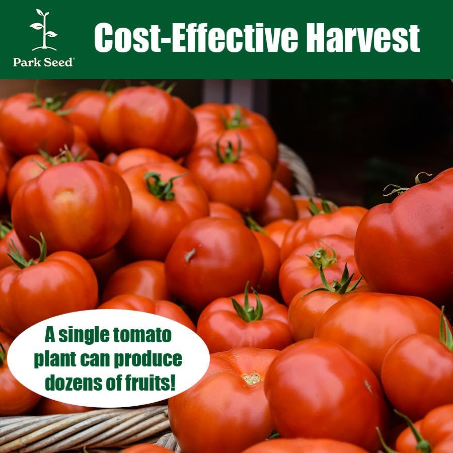 Park Seed Variety of Tomato Seeds, Planting Vegetables, Easy to Grow, Non-GMO, Perfect for Harvesting, Marmande Marsalato Organic F1 Hybrid, Pack of 5 - Image 3