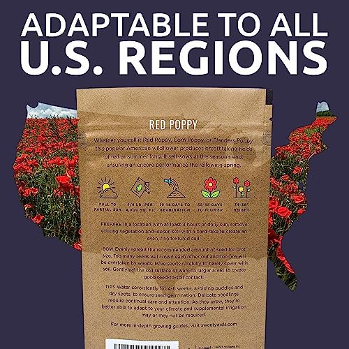 Red Poppy Seeds - Bulk 1/4 Pound Bag - Over 800,000 Wildflower Seeds - Image 7