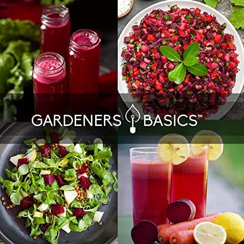 Gardeners Basics, Beet Seeds for Planting Home Garden - 5 Variety Pack Detroit Dark Red, Golden Detroit, Early Wonder, Cylindria and Chioggia Great for Spring, Summer, Fall, Heirloom Veggie Seeds - Image 2