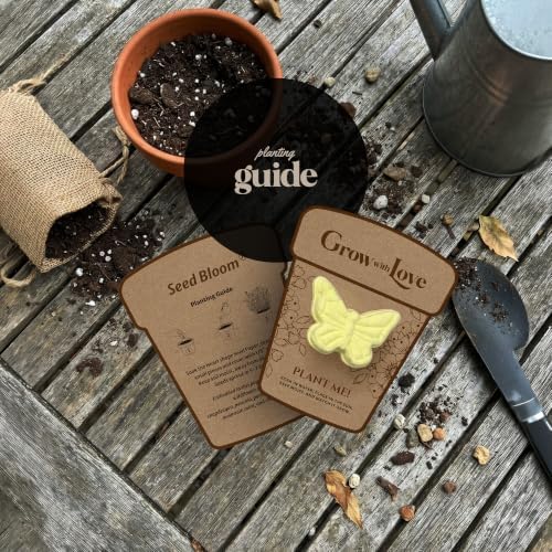 24-Count Plantable 3D Butterfly Wildflower Seed Bomb Favors - Image 5