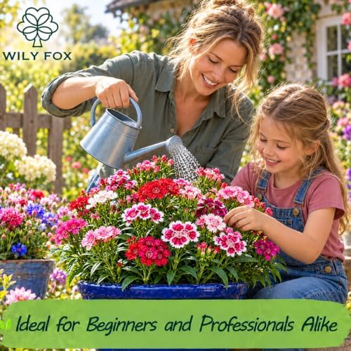 Dianthus Seeds for Planting, Dianthus chinensis L., Heirloom Non-GMO China Pink Flower Seeds, High Germination Colorful Garden Flower for Borders Containers and Cottage Gardens, 2000 Count - Image 2