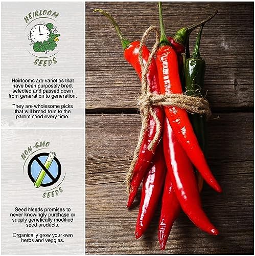 Seed Needs Thick Cayenne Pepper Seeds to Plant Vegetables - 1 Pack - Image 2
