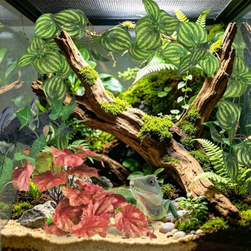 KATUMO 3PCS Reptile Plants, Terrarium Plant Artificial Decor, Fake Plant - Image 5