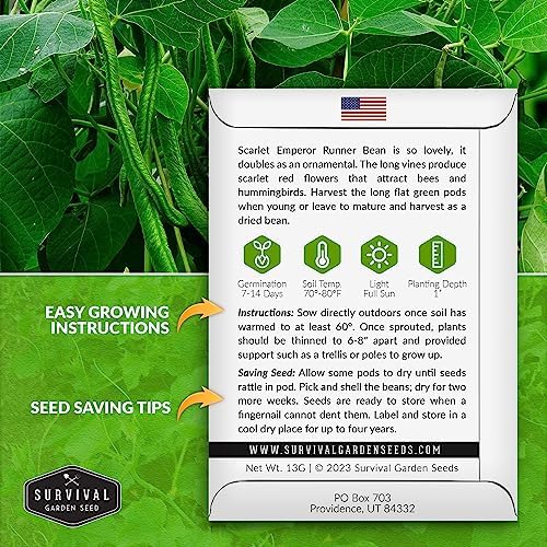 Scarlet Emperor Bean Seeds for Planting - Survival Garden Seeds (5 Pack) - Image 2