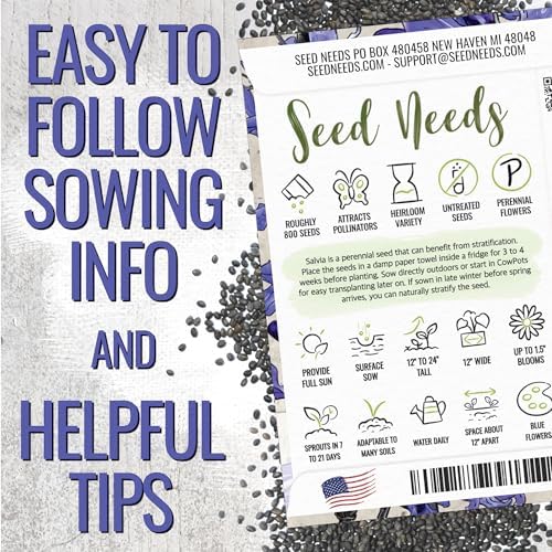 Seed Needs Sapphire Sage Seeds to Plant Blue Salvia Flowers 1 Pack - Image 4