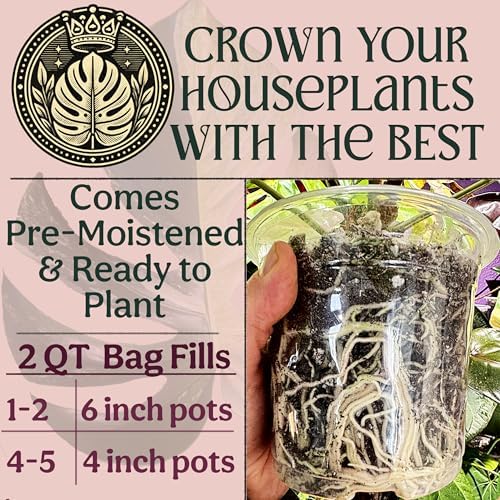Craft Houseplant Potting Mix, Organic Indoor Potting Soil for House Plants, Chunky Well Draining Plant Soil for Pothos, Snake Plant & Tropical Plants, Peat Free, 2 Quart - Image 5
