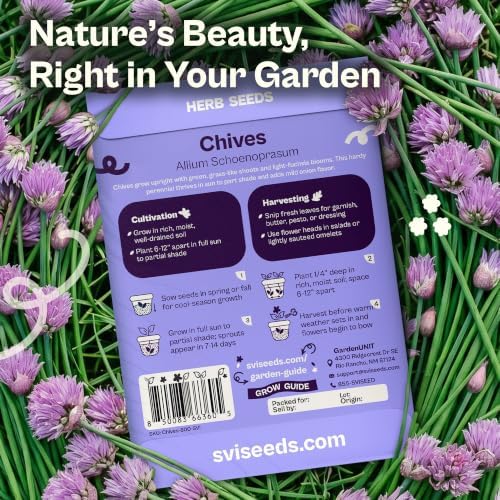 SVI 800 Chives Seeds (Allium schoenoprasum) – Onion Chives Seed Packets, Heirloom Perennial Herbs with Mild Onion Flavor – Culinary Herb Seeds for Home Garden, Containers, Indoor & Outdoor Herb Garden - Image 2